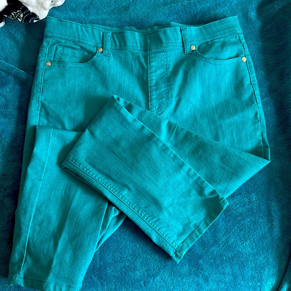 Teal stretchable pants md.